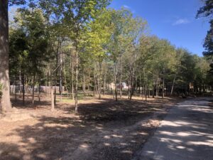 300 Lakeside Dr. beautiful property for sale west Tawakoni, Tx